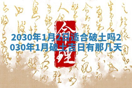 2026年02月25日农历二〇二六年正月初九出生的袁姓男宝宝取名全攻略