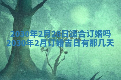 2026年02月25日农历二〇二六年正月初九出生的袁姓男宝宝取名全攻略