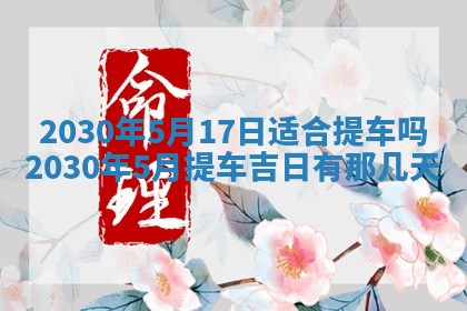 2026年02月25日农历二〇二六年正月初九出生的袁姓男宝宝取名全攻略