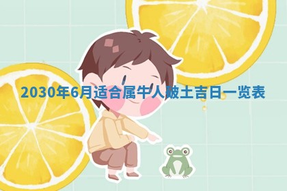 2026年02月25日农历二〇二六年正月初九出生的袁姓男宝宝取名全攻略