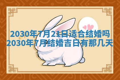 2026年02月25日农历二〇二六年正月初九出生的袁姓男宝宝取名全攻略