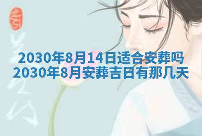 2026年02月25日农历二〇二六年正月初九出生的袁姓男宝宝取名全攻略