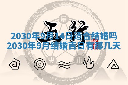 2026年02月25日农历二〇二六年正月初九出生的袁姓男宝宝取名全攻略