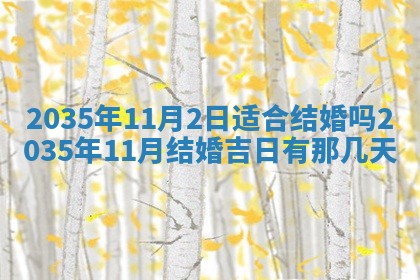 2025年11月08日打麻将财神在哪个方位,每日查询