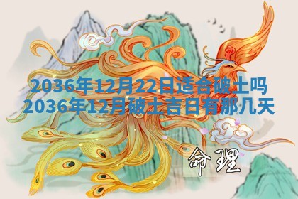 2025年11月11日的财神在哪个方位,财神方位详解