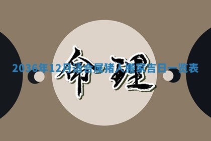 财神吉位查询 2025年11月14日