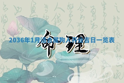 2025年11月10日麻将打麻将财神吉位