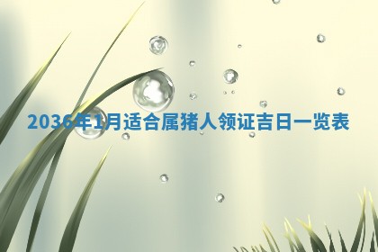 财神吉位查询 2025年11月14日