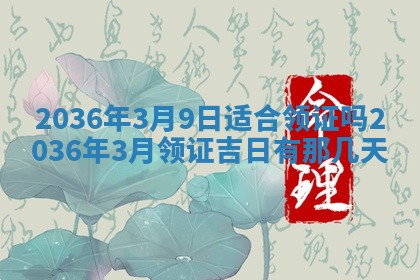 财神吉位查询 2025年11月14日