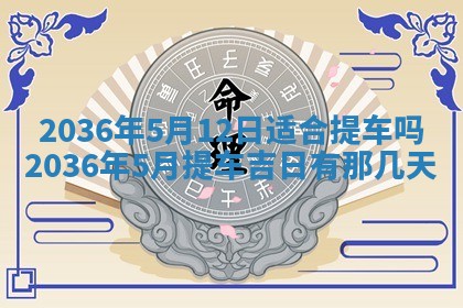财神吉位查询 2025年11月14日