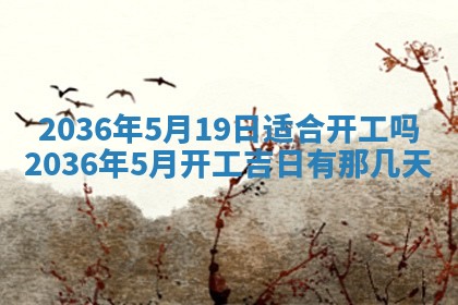2025年11月11日的财神在哪个方位,财神方位详解