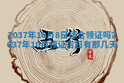 2025年11月15日打麻将财神吉位详细解析