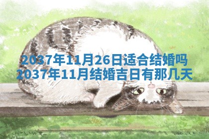 今天是否适合房屋装饰,2025年6月4日黄历宜忌分析