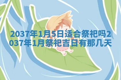 财神吉位查询 2025年11月14日