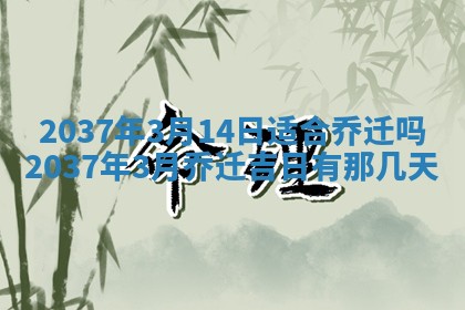 今天是否适合房屋装饰,2025年6月4日黄历宜忌分析