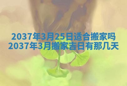 今天是否适合房屋装饰,2025年6月4日黄历宜忌分析