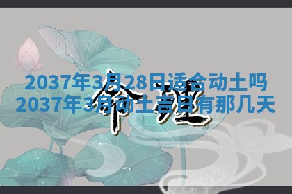 2026年03月07日出生武姓男宝宝如何取名？好听有寓意的名字精选
