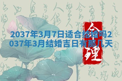 今天是否适合房屋装饰,2025年6月4日黄历宜忌分析