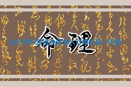 2026年03月07日出生武姓男宝宝如何取名？好听有寓意的名字精选