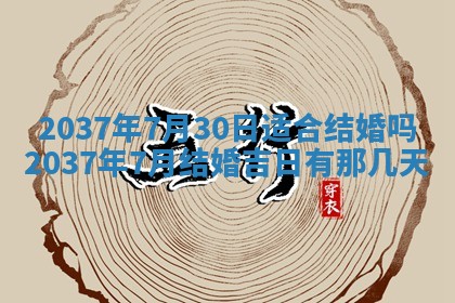 万年历2025年6月23日办理结婚证适宜分析