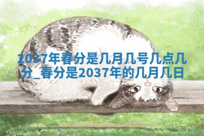 2025年11月11日的财神在哪个方位,财神方位详解