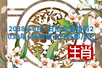2025年11月18日各时辰财神吉位详细解析