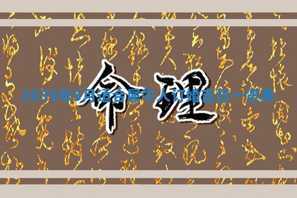 2025年11月19日财神吉位详解