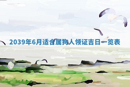 2026年02月27日生辰八字起名：杜姓女孩子取什么名字最合适