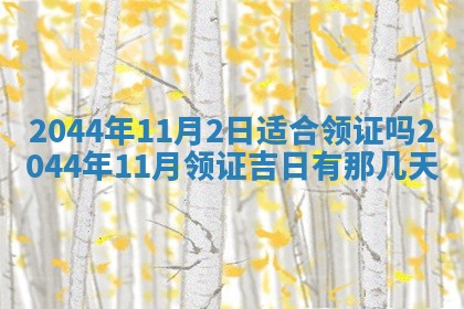 2026年03月08日出生的张姓女孩子取名指南：吉祥好听的名字推荐