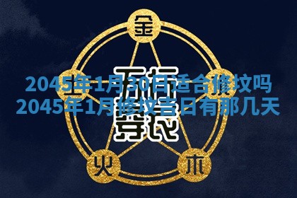 陈姓宝宝起名禁忌与技巧：2026年01月24日出生男孩子最佳名字