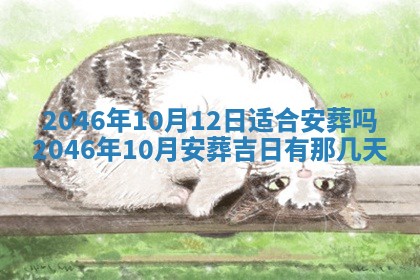 2025年12月09日财神朝向查询