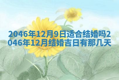 2025年12月09日财神朝向查询