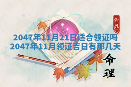2025年12月11日打麻将朝向查询
