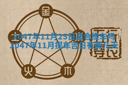 2025年12月11日打麻将朝向查询