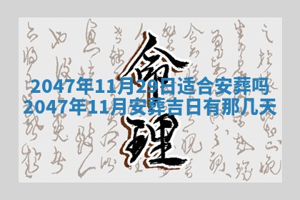 八字五行与武姓：2026年03月02日出生男宝宝的理想名字分析