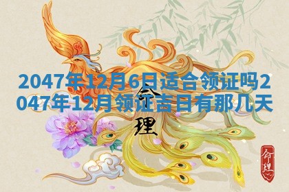 2025年12月11日打麻将朝向查询