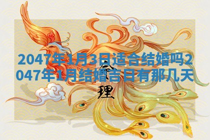 八字五行与武姓：2026年03月02日出生男宝宝的理想名字分析