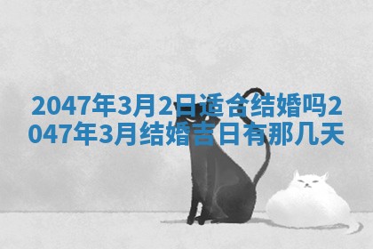 2025年12月11日打麻将朝向查询