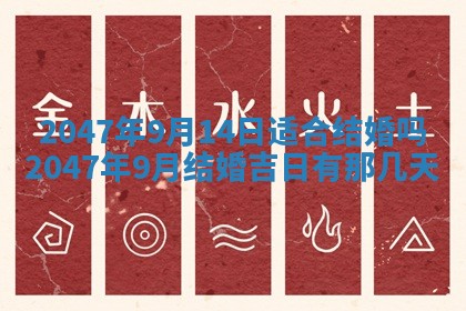 2025年12月11日打麻将朝向查询