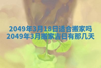 2025年12月21日打麻将在哪个方向详解