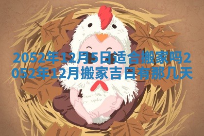 段姓2026年01月28日出生的男孩子命理分析与起名攻略