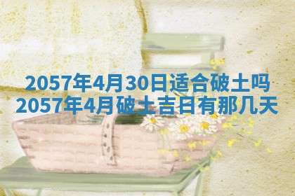雷姓女宝宝起名必看：2026年01月31日生辰八字喜用神与取名建议