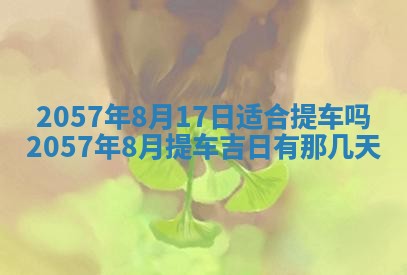 雷姓女宝宝起名必看：2026年01月31日生辰八字喜用神与取名建议