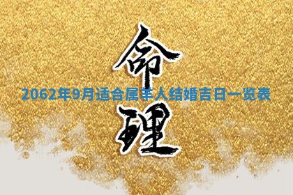 2026年01月24日麻将财神方向