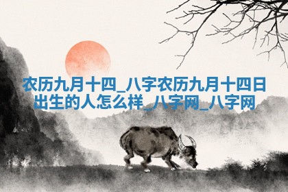 方姓2026年02月05日出生的男孩子命理分析与起名攻略