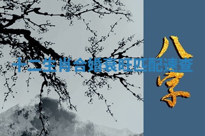 今日2025年6月17日万年历破土吉日查询,动土是好日子吗