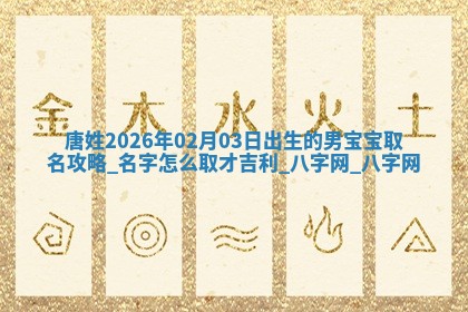 沈姓2026年01月24日出生男孩子取名宜用字大全