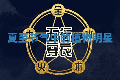 2025年10月03日打牌打麻将方向