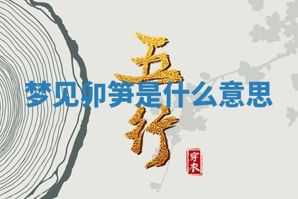 2025年10月03日打牌打麻将方向