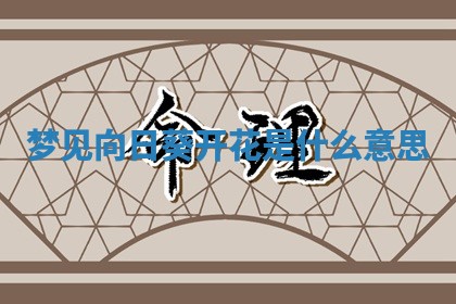 2025年10月03日打牌打麻将方向